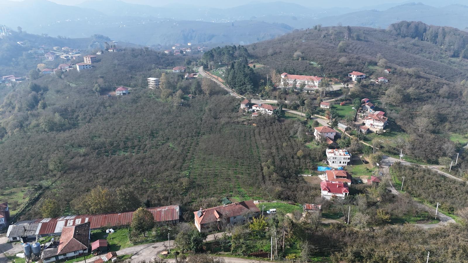 Küçük Resim 7