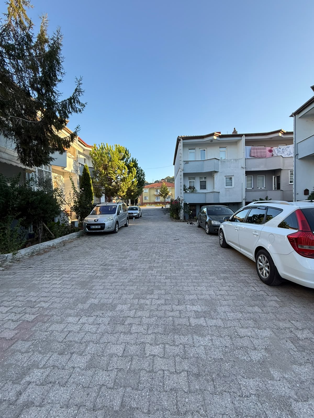 Küçük Resim 5