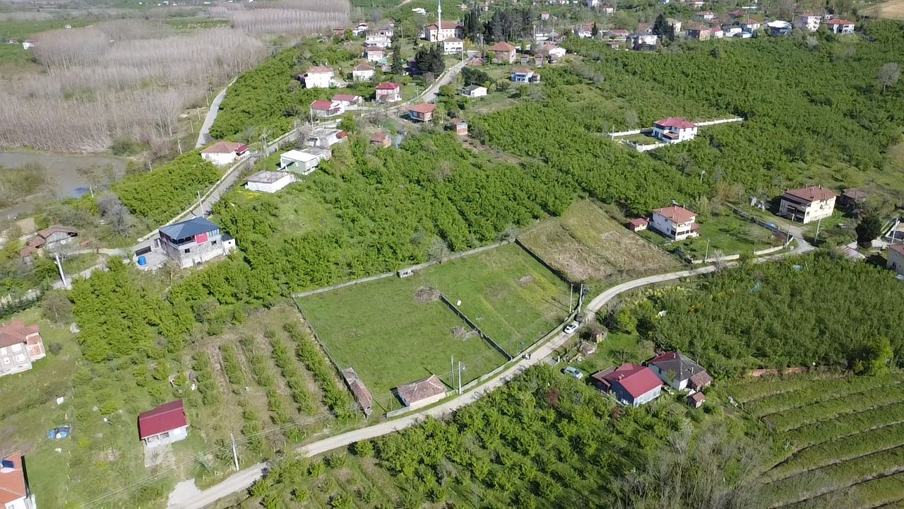 Küçük Resim 21