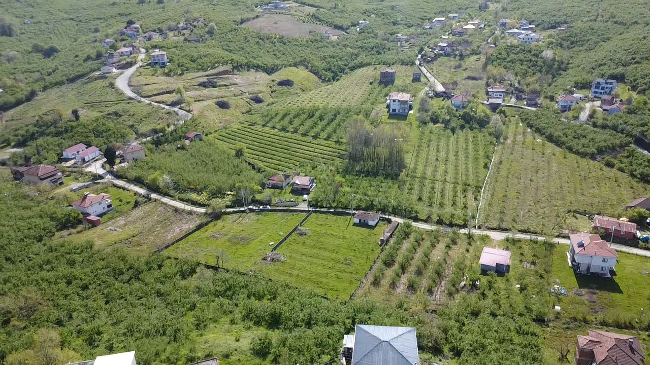 Küçük Resim 19