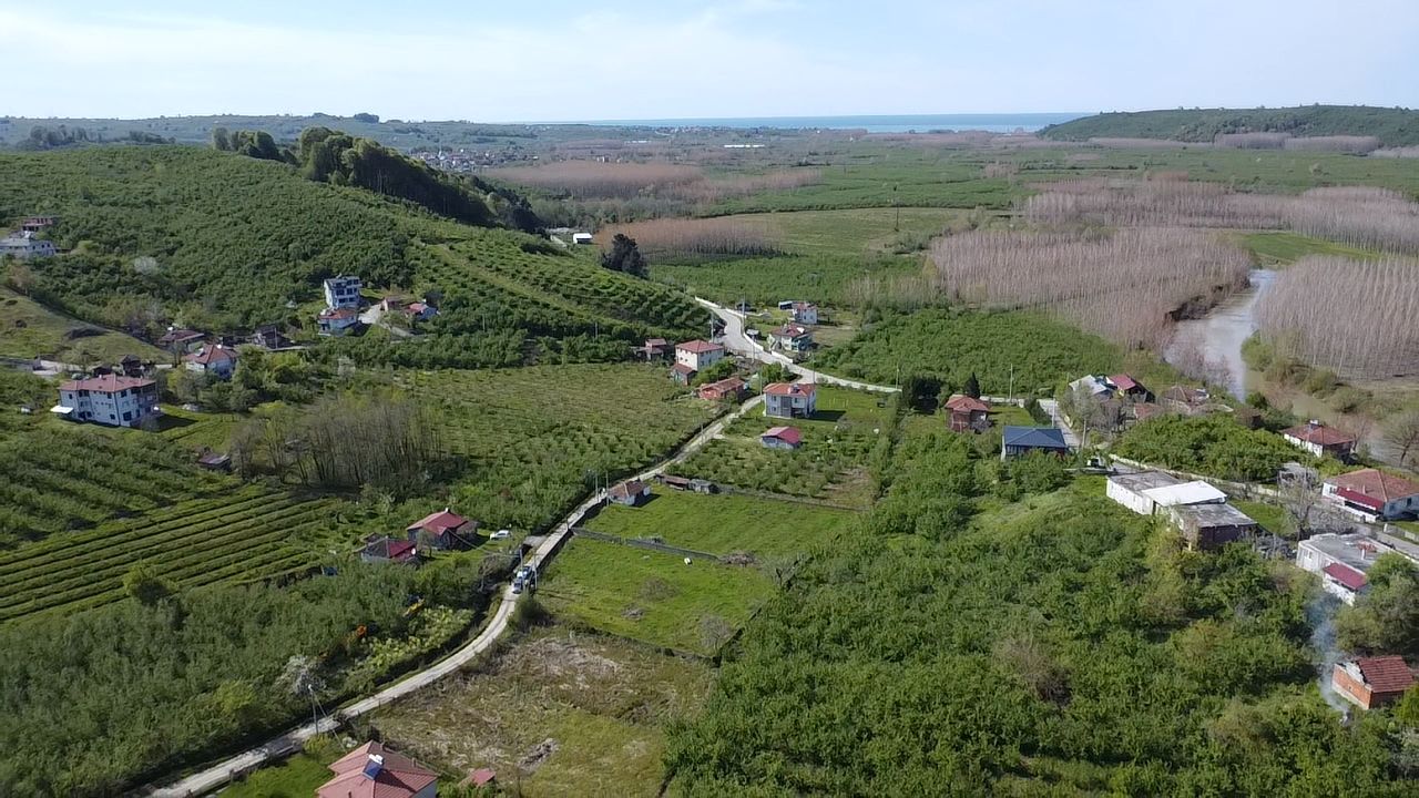 Küçük Resim 20