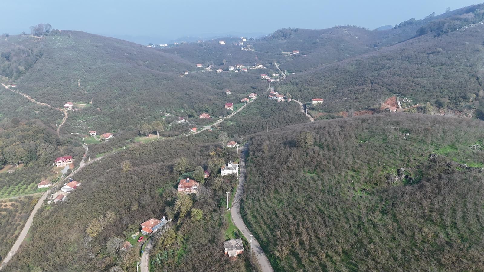 Küçük Resim 11