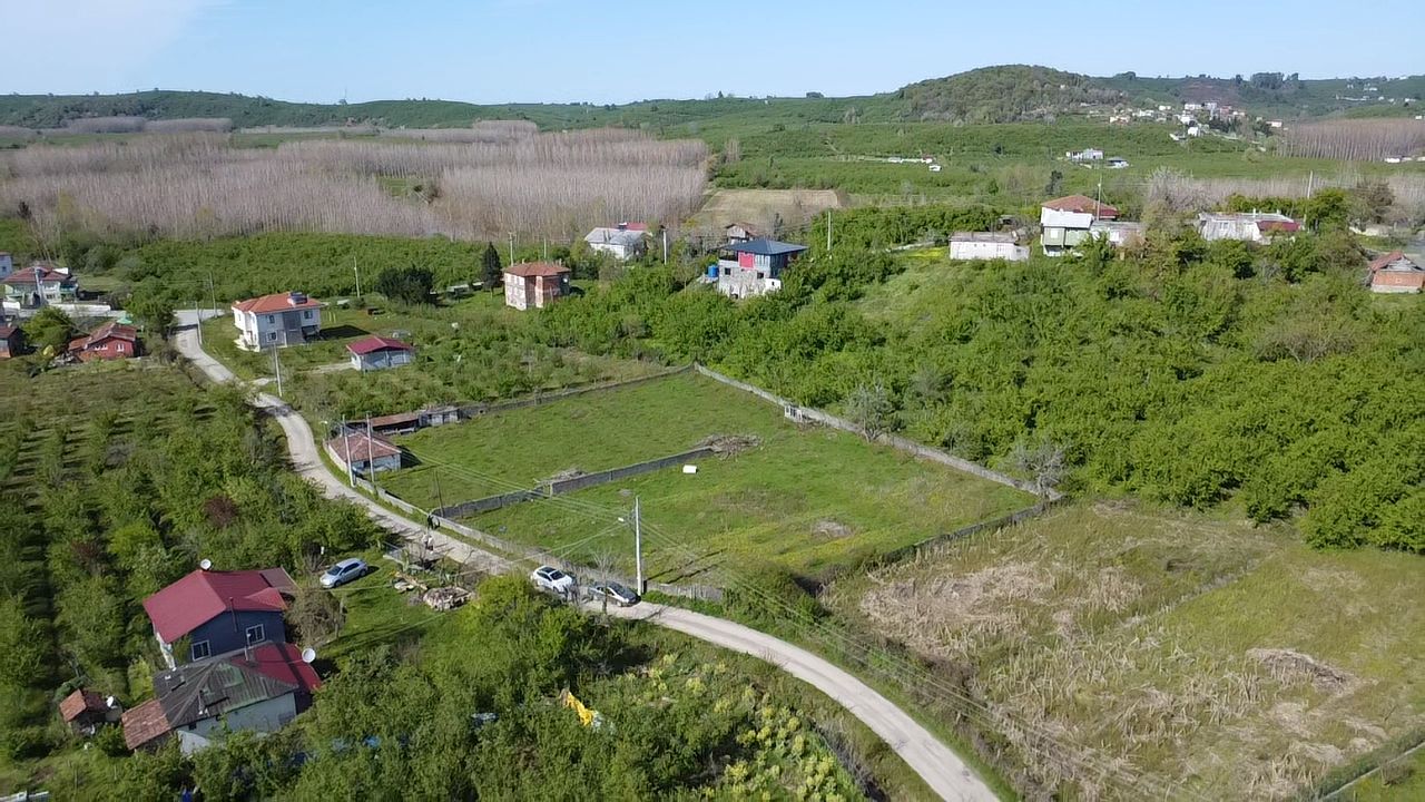 Küçük Resim 14