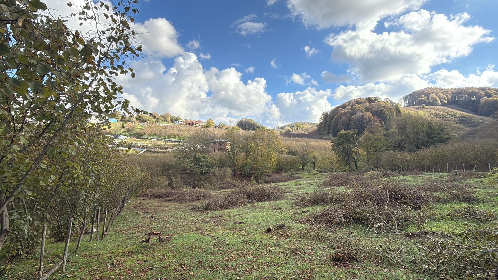 Küçük Resim 7