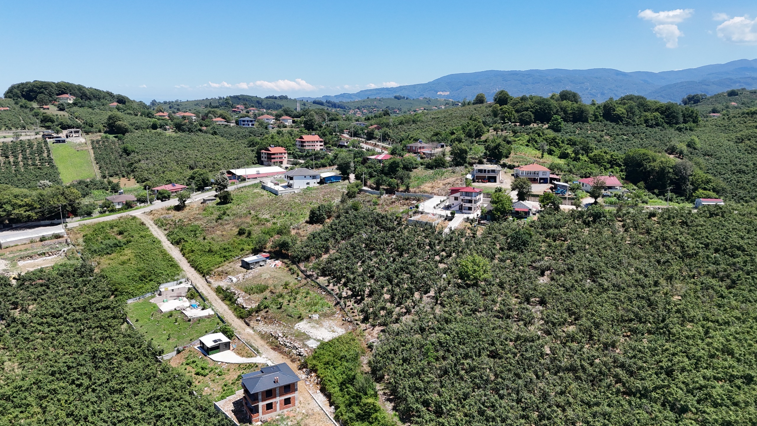 Küçük Resim 15