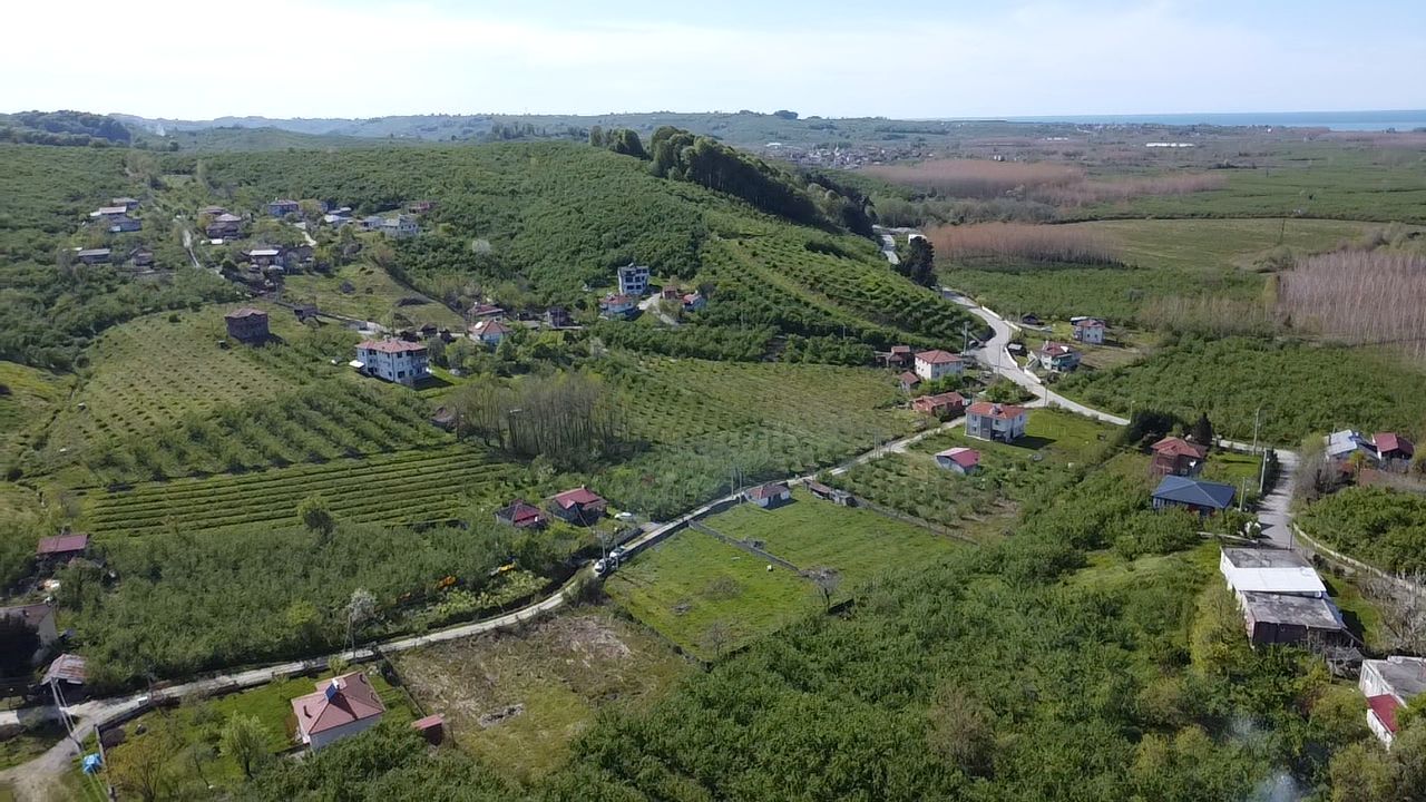 Küçük Resim 15
