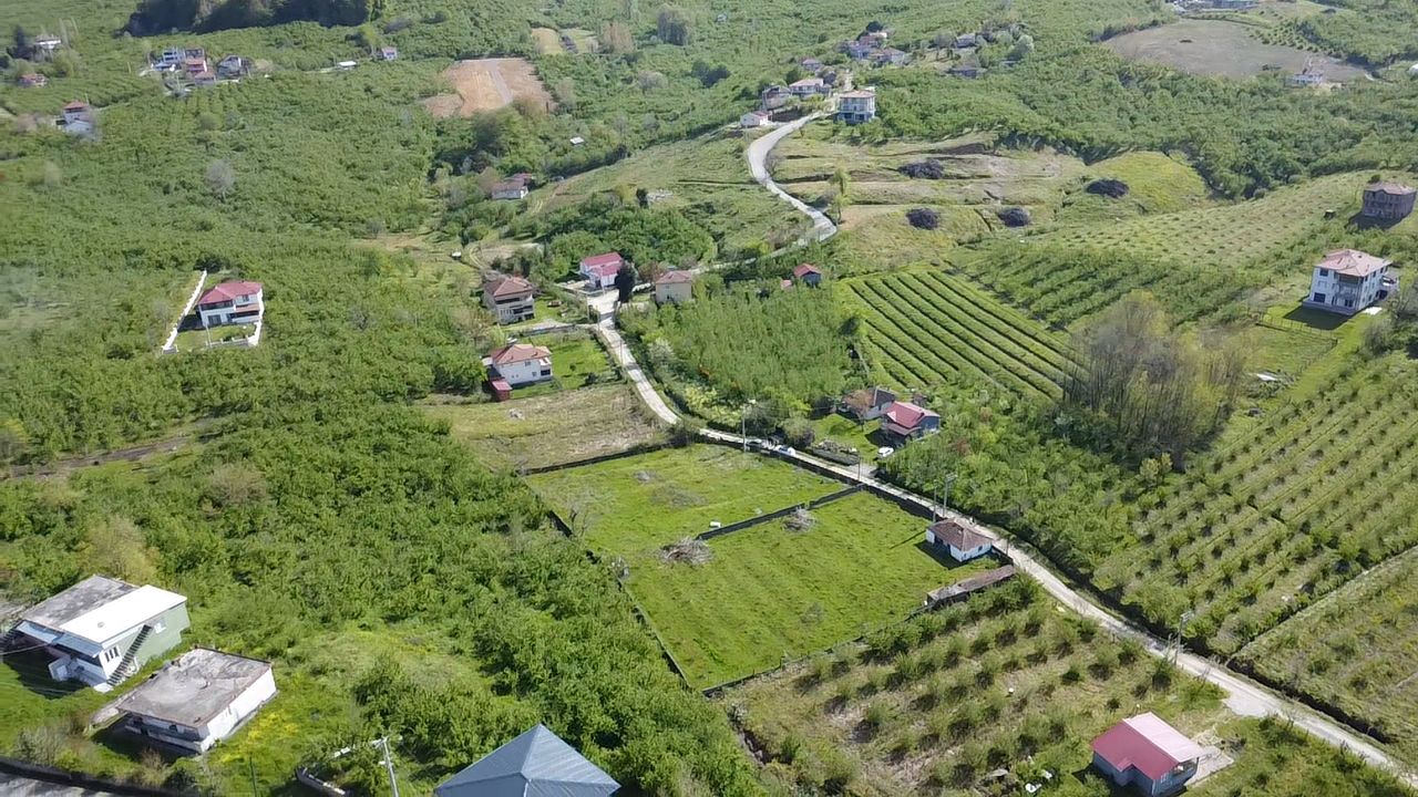 Küçük Resim 12