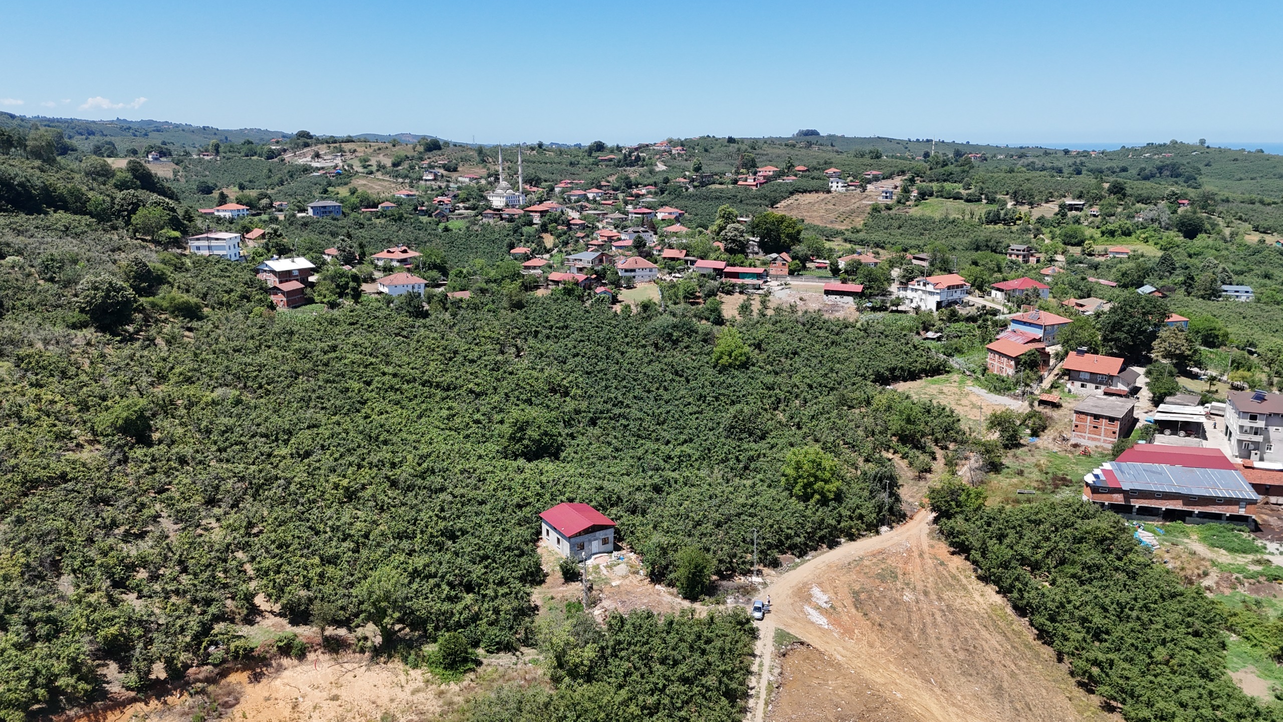 Küçük Resim 14
