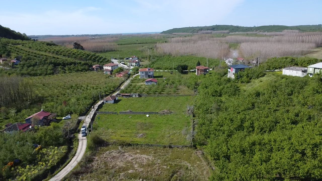 Küçük Resim 10