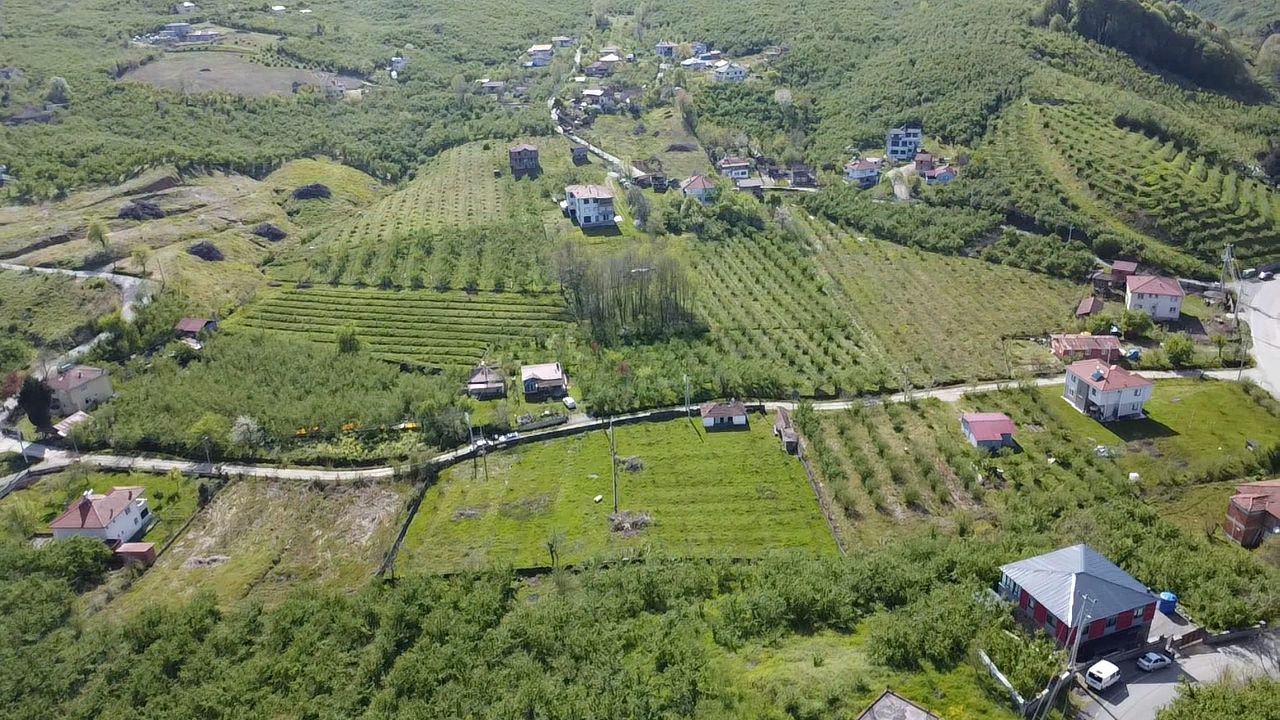 Küçük Resim 22